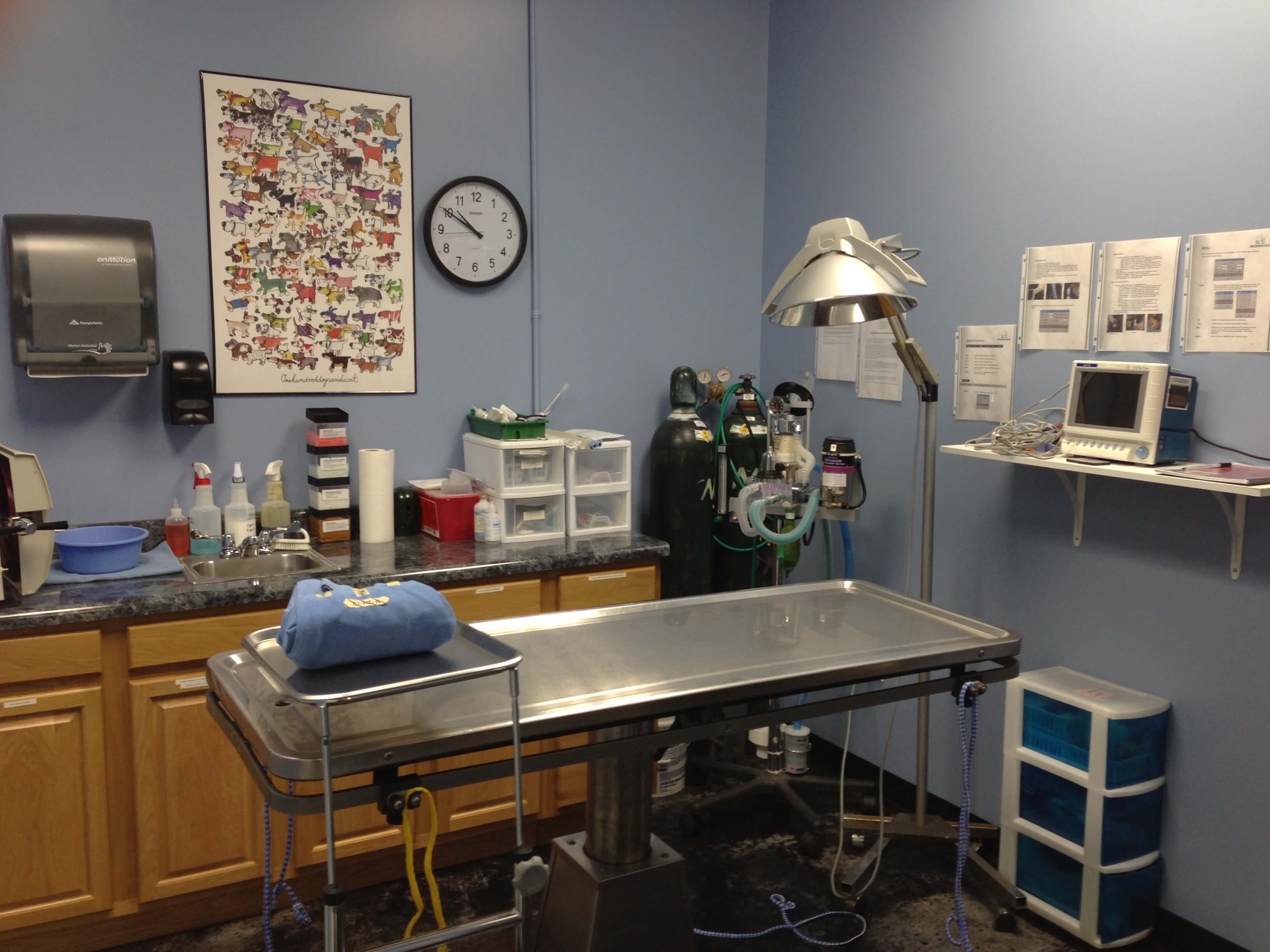 Hattiesburg & Petal MS Emergency Veterinary Hospital Hospital Tour